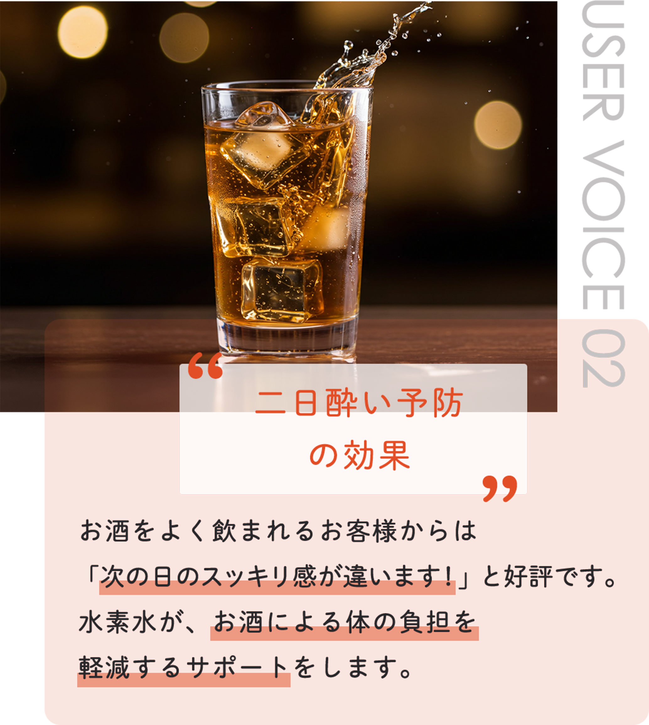 user voice2